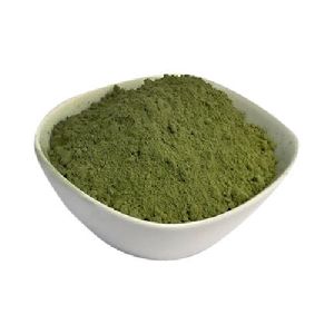 Non Organic Moringa Dry Leaves Powder