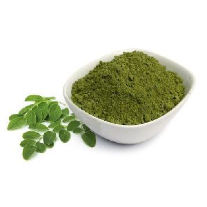 Organic Moringa Dry Leaves Powder