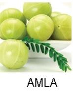 Amla