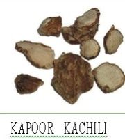 kapoor kachli