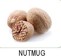 Nutmeg