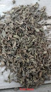 Dried Tulsi Leaves