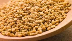 Fenugreek Seeds