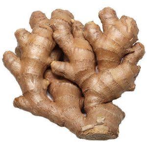 Fresh Ginger