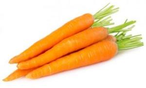 Fresh Carrot