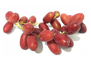 Fresh Dates