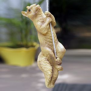 Hanging Squirrel