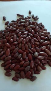 Red Kidney Beans