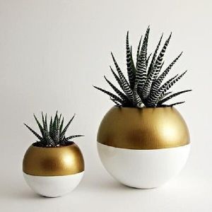 decorative flower pots