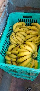 Yellow Banana