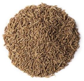 Cumin Seed