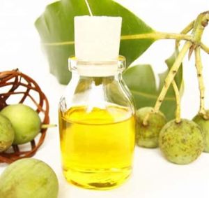 Tamanu Oil