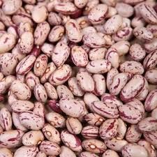 Light Speckled Kidney Beans