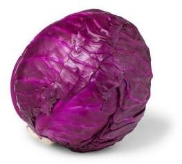 Fresh Red Cabbage