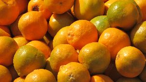 Fresh Nagpur Orange