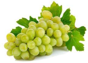 Fresh Grapes