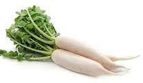 Fresh Radish