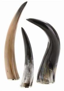 Decorative Horn