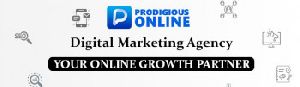 Prodigious Online - Digital Marketing Agency in Mohali