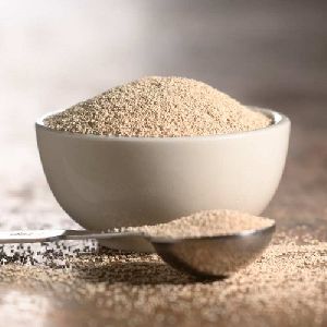 instant dry yeast powder