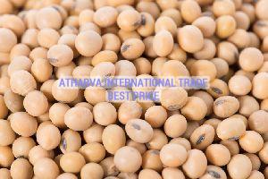 nrc 37 soybean seeds