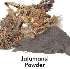 Jatamansi Powder