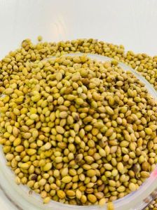 Coriander Seeds