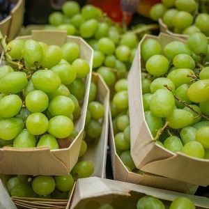 Fresh Grapes