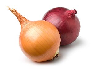 Onion