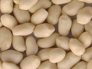 Blanched Peanuts