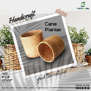 Cane Planter