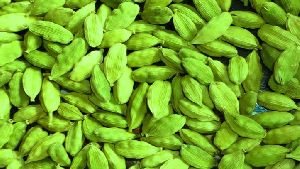 Alleppey Green Superior Cardamom