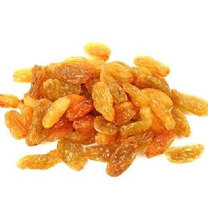 Golden Raisins