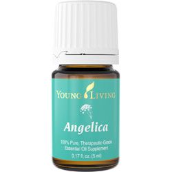 Angelica Oil