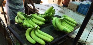 Fresh Bananas