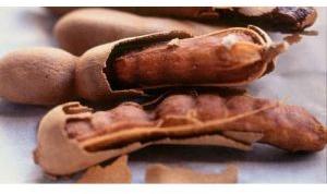 natural tamarind