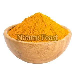 Haldi Powder