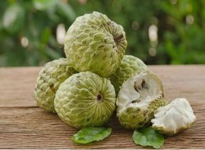 Fresh Custard Apple