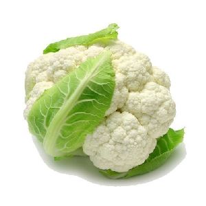 Fresh Cauliflower