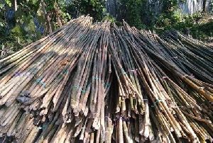 Bijli Bamboo Poles