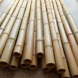 Raw Bamboo Poles