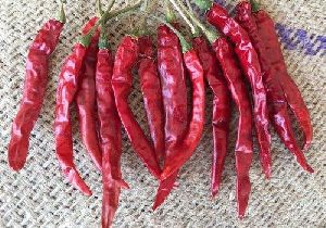 Sannam S10 Dry Red Chilli