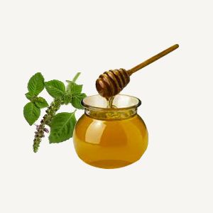 Basil Honey