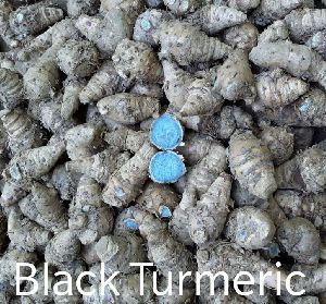 Raw Black Turmeric