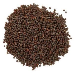 Brown Rai Seeds