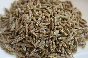 Dried Cumin Seeds