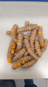 Mother Turmeric