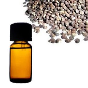 Ambrette Seed Essential Oil