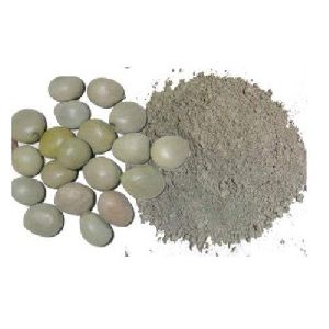 Kaunch seed powder