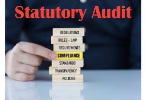 statutory audit services